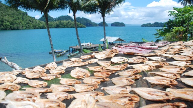 sumber https://assets.kanaldesa.com/